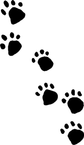 Paw Prints