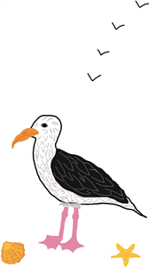 Seagull on the beach 