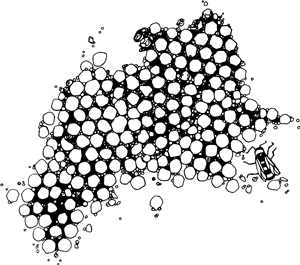 Honeycomb