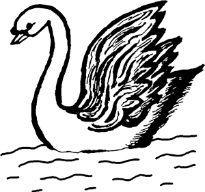 Swan