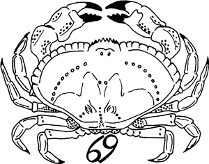Zodiac Cancer Crab