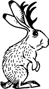 Jackalope
