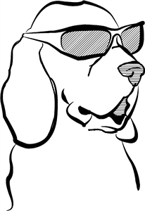 Cool Dog