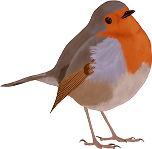 Robin