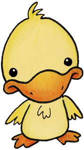 Cute Duck