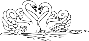 Love Swans