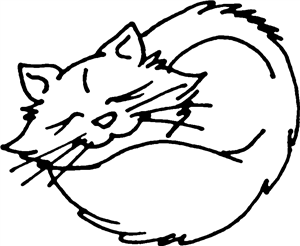 Sleeping Cat