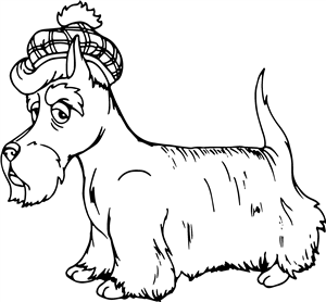 Scottish Terrier