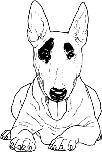 Bull Terrier