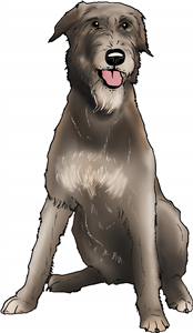 Irish Wolfhound