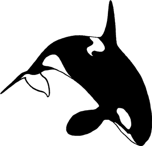 Killer Whale