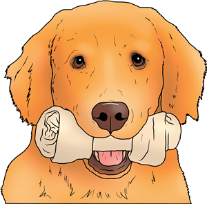 Golden Retriever With Bone