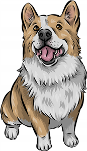 Pembroke Welsh Corgi