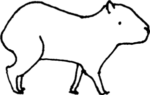 Capybara