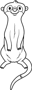 Meerkat