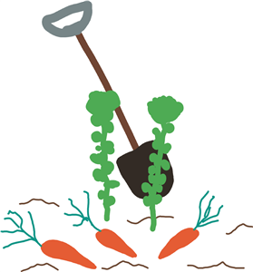 Digging the vegtables up