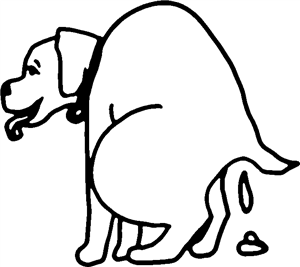 Pooping Dog