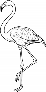 Flamingo