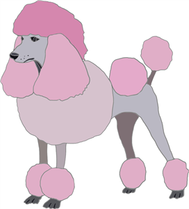 Pink Poodle