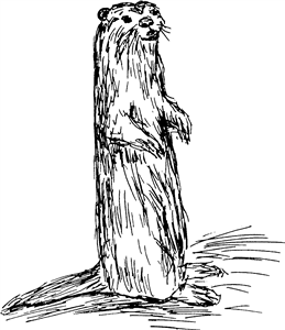 Weasel