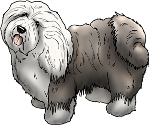 Old English Sheepdog