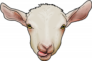 Cute Goat Face