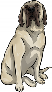 English Mastiff