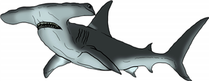 Hammerhead Shark