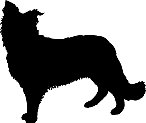 Collie Sheepdog Silhouette