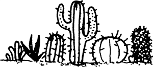 Cactus Plants