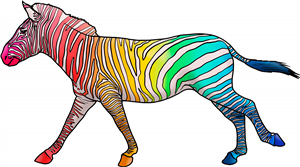 Rainbow Zebra