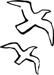 Birds In Flight