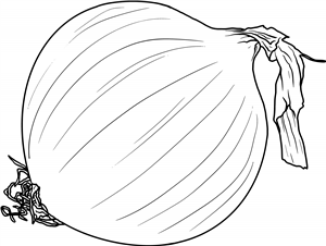 Onion