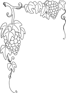 Grape Vines