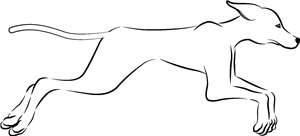 Greyhound