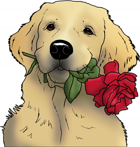 Golden Retriever & Rose