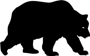 Grizzly Bear