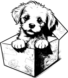 puppy in box