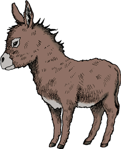 Donkey