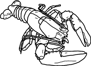 Lobster