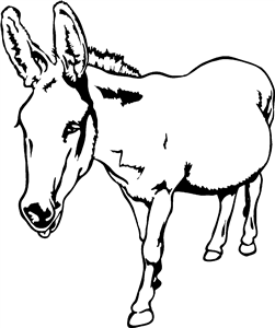 Friendly Donkey
