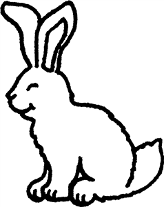 Fluffy Bunny Rabbit