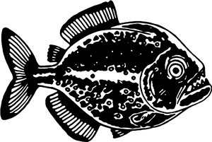 Piranha