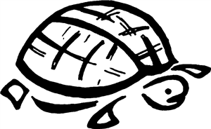 Tortoise