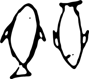 Fish Duo