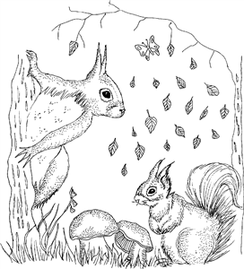 Woodland Squirrels