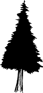 Pine Tree