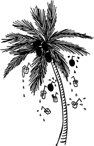 Palm Tree & Drinks