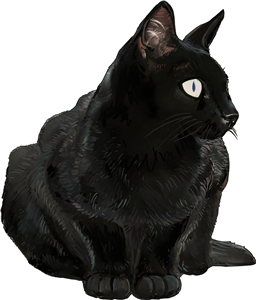 Sitting Black Cat