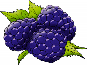 Blackberries